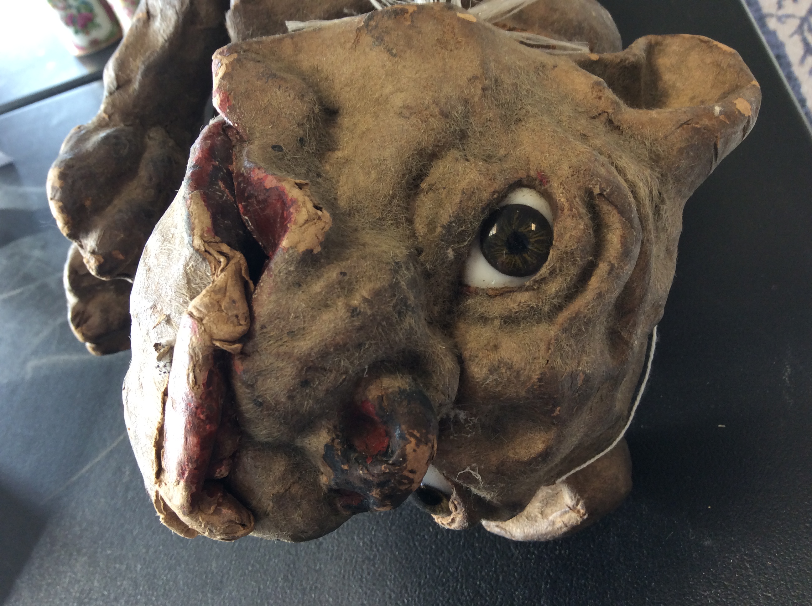 A bulldog automaton the papier-mâché dog realistically modelled, with glass eyes and jaw dropping - Image 9 of 10