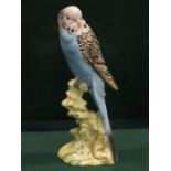 BESWICK GLAZED CERAMIC BUDGERIGAR, No.1216B40, DESIGNED BY ARTHUR GREDINGTON, APPROXIMATELY 18.