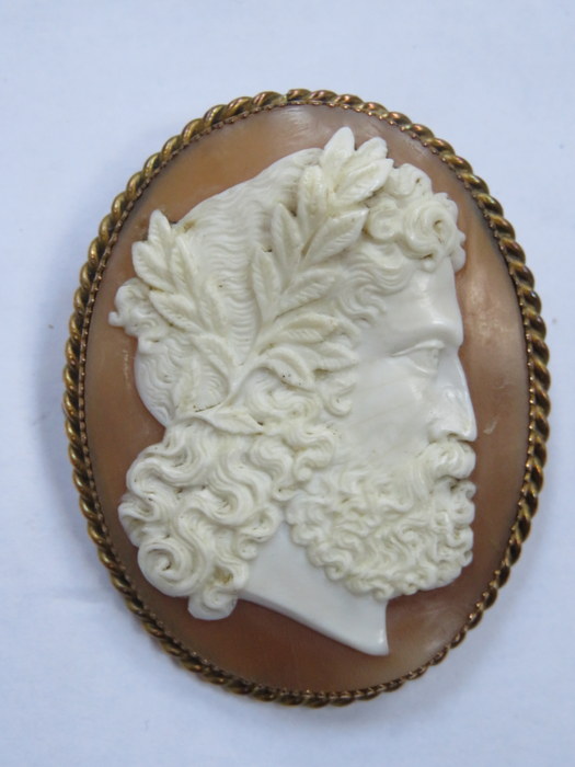 VICTORIAN CAMEO BROOCH IN GOLD COLOURED MOUNT