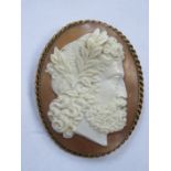 VICTORIAN CAMEO BROOCH IN GOLD COLOURED MOUNT