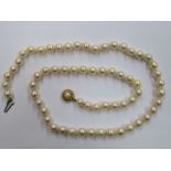 LADIES PEARL NECKLACE SET WITH 9ct GOLD CLASP