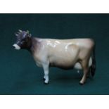 BESWICK GLAZED CERAMIC JERSEY COW "CH NEWTON TINKLE" NO 1345 BY ARTHUR GREDINGTON 10.