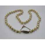 LADIES PEARL NECKLACE SET WITH 9ct GOLD CLASP