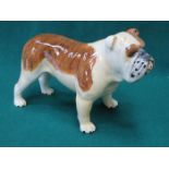 BESWICK GLAZED CERAMIC BULLDOG "CH BASFORD BRITISH MASCOT" NO 965 BY ARTHUR GREDINGTON 13.