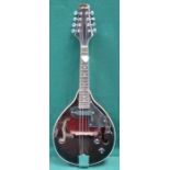 STAGG EIGHT STRING MANDOLIN, MODEL NUMBER M50 E,