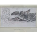 CHARLES TUNNICLIFFE RA, FRAMED PENCIL DRAWING- ROTTING PINE, BODGER WOODS, APPROXIMATELY 22.