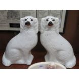 PAIR OF HANDPAINTED STAFFORDSHIRE SPANIELS,