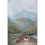 S SAWLEY, FRAMED OIL ON CANVAS DEPICTING HIGHLAND CATTLE,