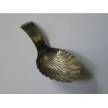 HALLMARKED SILVER VICTORIAN SHELL FORM TEA CADDY SPOON