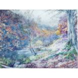 William John Caparne (British 1855-1940) Autumn woods, North Devon watercolour, signed and inscribed