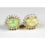 A pair of 18ct yellow gold earrings set with large cabochon cut fire opals surrounded by brilliant