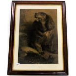 A large early 19th century rosewood framed engraving of a spaniel, 65 x 86cm.