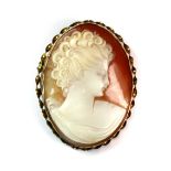 A 9ct yellow gold (stamped 9ct) mounted cameo brooch. L. 4.4cm. Est. £100-150.