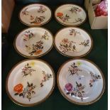 A set of six Royal Worcester Vitreous cabinet plates, each having hand painted floral decoration,