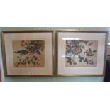 A pair of gilt framed and glazed coloured lithographs of finches on autumnal fruiting branches (26.