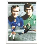 Ron Harris and Peter Bonetti double autographed high quality 16x12 inches colour photograph. Nice