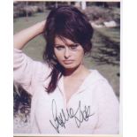 Sophia Loren. 10x8 picture.  Good condition. All signed items come with a Certificate of