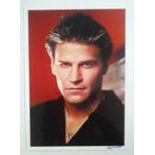 David Boreanaz autographed large photograph.  Good condition. All signed items come with a