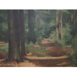 Ernest de Vleeschouwer (Dutch, early 20th Century)- Path through a forest, oil on canvas, signed