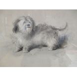 After Sir Edwin Landseer, engraving of a Dandy Dinmont Terrier, print sellers association blind