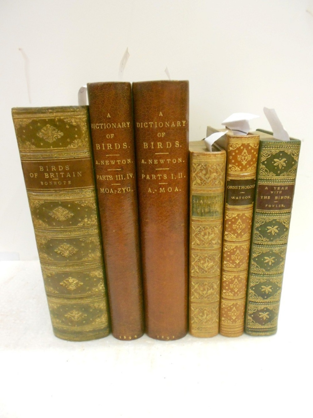 NEWTON (Alfred) A Dictionary of Birds, 1893-94, four vols in two, t.e.g., half morocco by