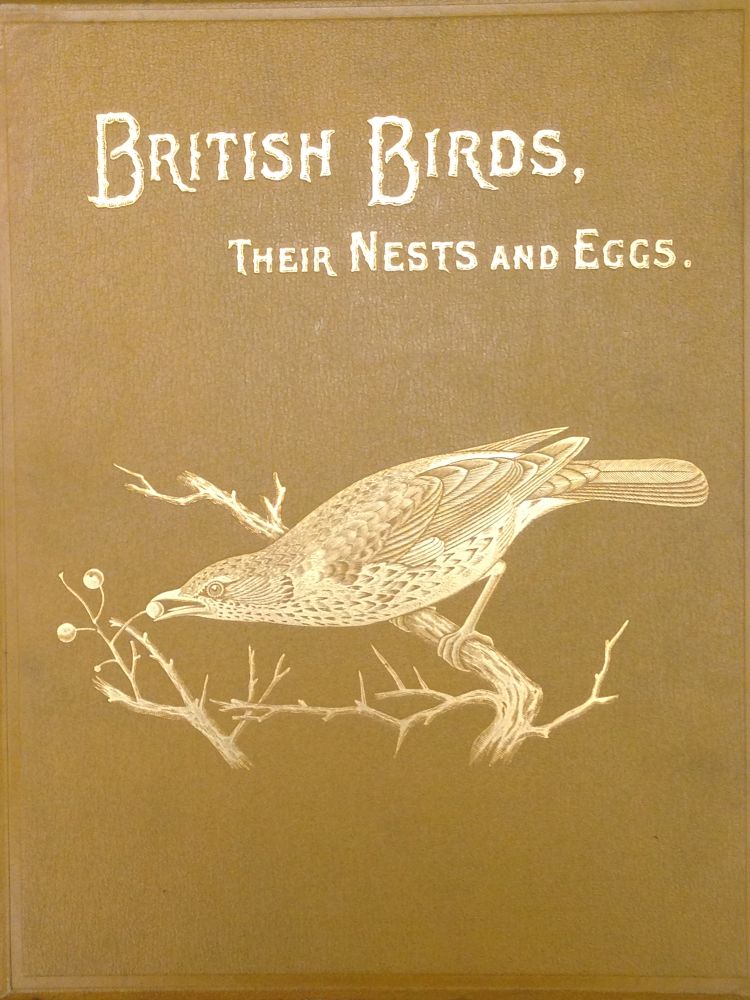 FROHAWK (F. W.), British Birds with their Nests and Eggs, six vols, London: Brumby & Clarke, c. - Image 2 of 3
