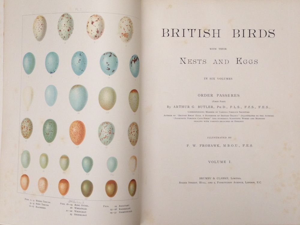 FROHAWK (F. W.), British Birds with their Nests and Eggs, six vols, London: Brumby & Clarke, c.