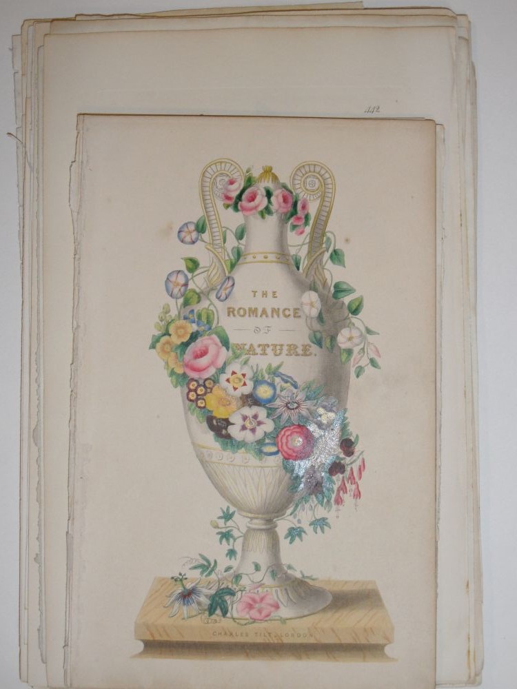 Collection of floral and botanical bookplates, 19th century, and a selection of hand coloured - Image 4 of 8