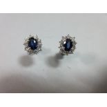 A pair of sapphire and diamond cluster earstuds, each oval cut sapphire claw set above a border of