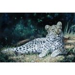 § Pip McGarry (British, b.1955) Reclining Leopard signed lower right "Pip McGarry 2011" oil on