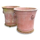 A pair of Italian 'Snake Pot' terracotta urns, raised on circular stands, designed by Arabella