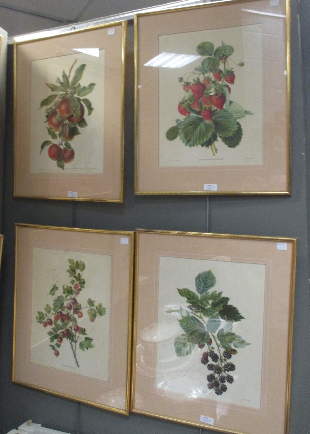 A set of twelve botanical prints and a book - Image 6 of 8