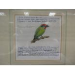 Four signed Peter Scott bird studies: Red Throated Barbet, 21/24, 15 x 16cm; The River Chat, 26/