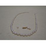 A single strand of cultured pearls, each approx. 6.8mm diameter, with yellow metal clasp, overall