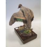 A Royal Worcester model of a green winged Teal on a stand with certificate, 21cm high Condition