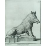 Giovanni Domenico (Italian, 1692-1768) Aper Calydonius - A Wild boar, inscribed "Dom Campiglia