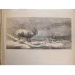 An album of cartoons by Richard Doyle, printed for Punch magazine and others, trimmed and mounted;