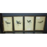 Four bird prints (4)
