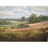 David Sipnall, pastoral landscape, oil on board, 45 x 60cm