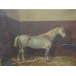 English School, 19th century, study of a grey horse in a stable, oil on canvas, indistinct