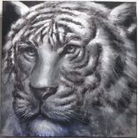 20th century, study of a tiger, oil on canvas, 100 x 100cm