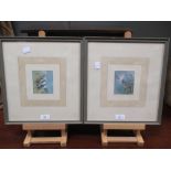 David Ord Kerr (British 1952-). Two bird studies, watercolours, signed, 8.5 x 7.5cm