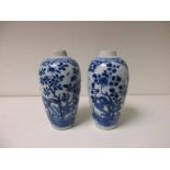 Two similar blue and white vases, period of Kangxi, each of the ovoid bodies painted with two
