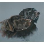 Debbie Gillingham (British, 20th Century) Study of Chocolate and Black Labradors signed lower