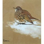 Eric Arnold Roberts Ennion (British, 1900-1981) Study of a Thrush signed lower left "Ennion"