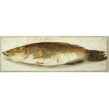 Italian School (second half of the 18th Century) Four studies of fish including a turbot, a