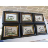 A set of six mid-19th century Chinese rice paper paintings depicting exotic birds amongst flowers,