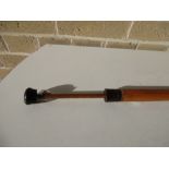 A walking cane measuring stick with horn handle, the rounded dark horn pommel rising with the