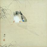 Ohara Koson (Japanese, 1877-1945) A diving duck signed lower left pen, ink and watercolour 23 x 23cm