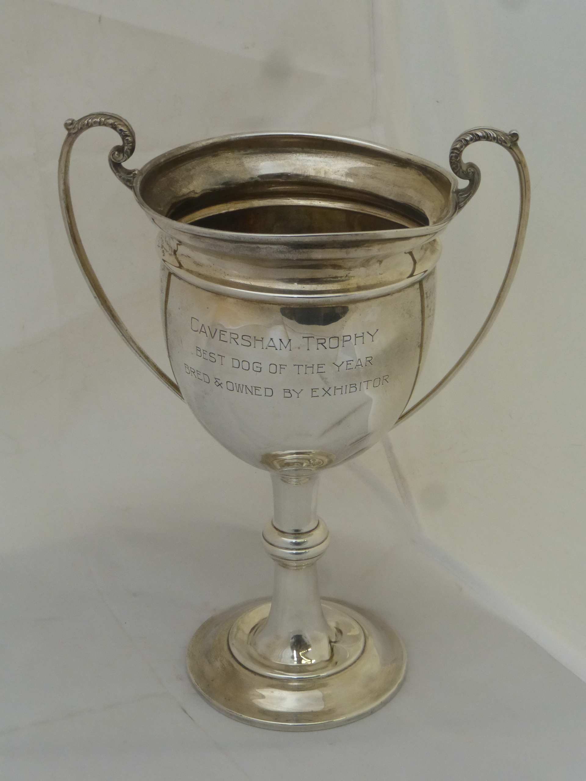 A large twin handled silver trophy with inscription "Caversham Trophy" Best Dog of the Year, bred